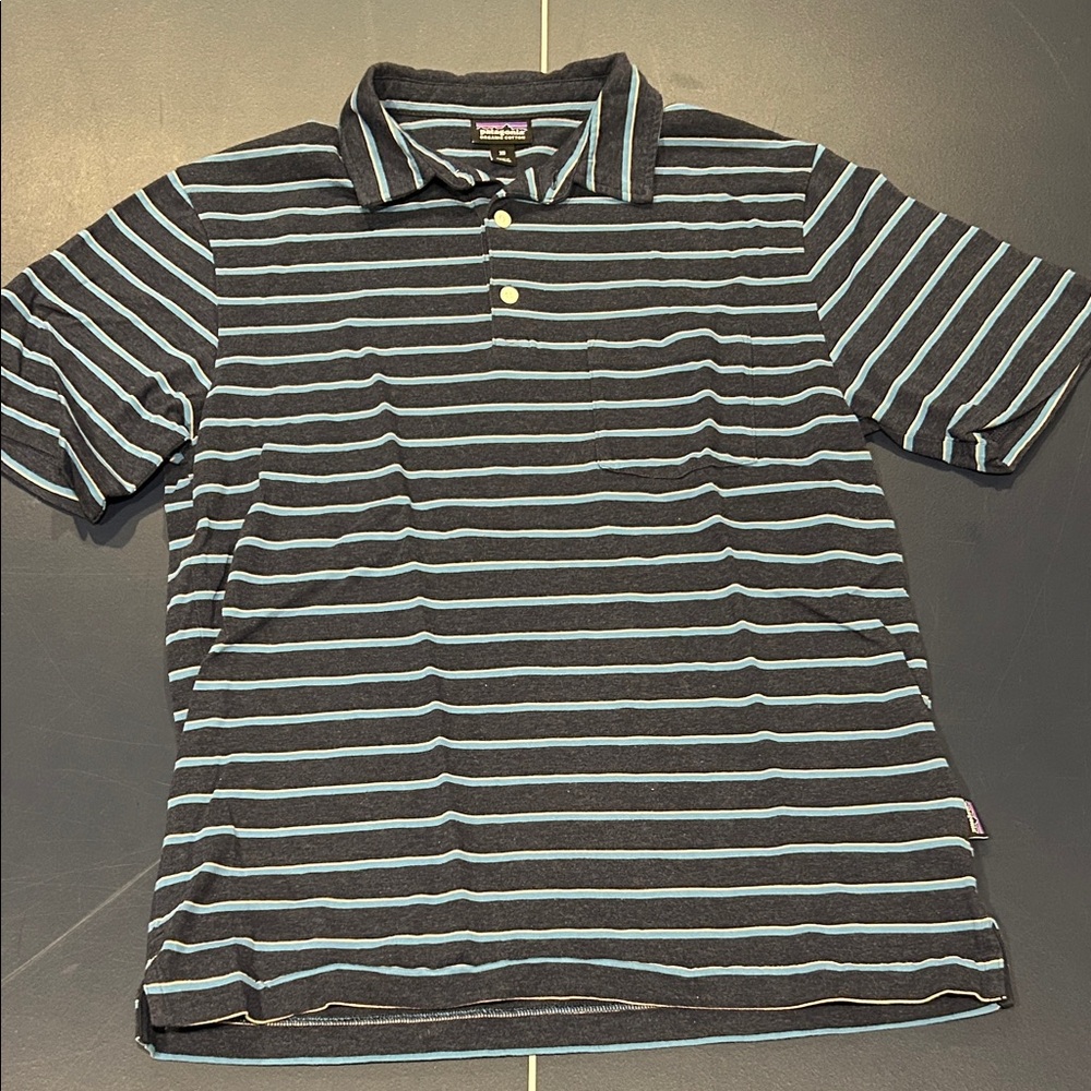 Patagonia Men's Organic Cotton Polo